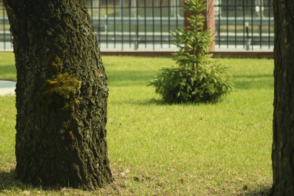 Hotel Westa Minsk Bagian luar foto